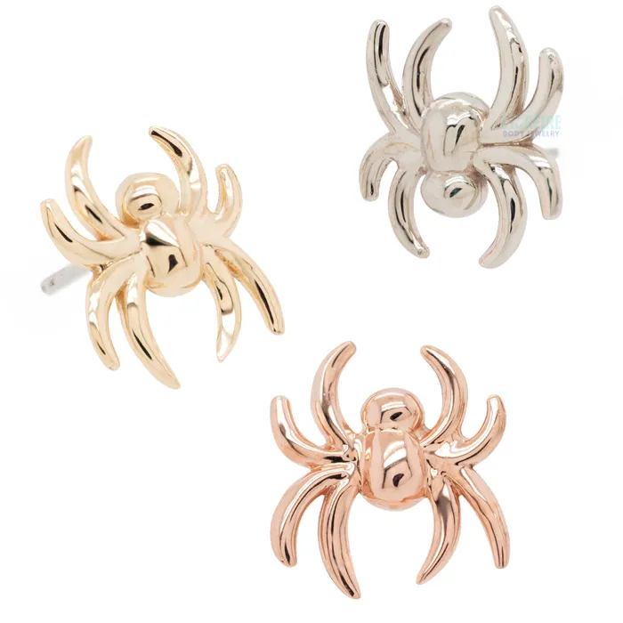 Earrings threadless Spider Pin in Gold LeRoi