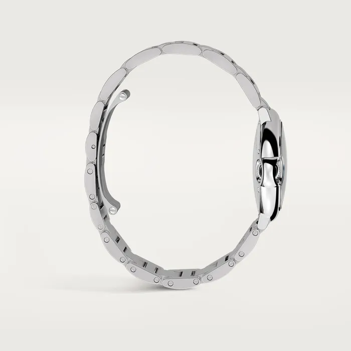 Ballon Bleu de Cartier watch CRW6920071 Cartier Watches