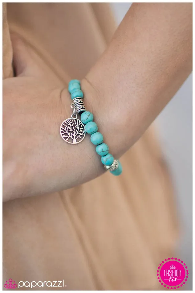 Bracelets Paparazzi Jewelry Paparazzi Bracelet Natural Beauty Blue