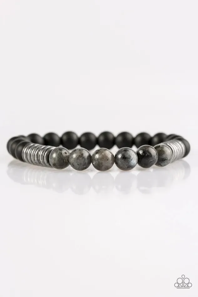 Paparazzi Jewelry Bracelets Paparazzi Bracelet Energetic Silver